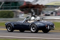 AC Cobra-10